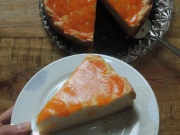Mandarinen Schmandkuchen - Rezept