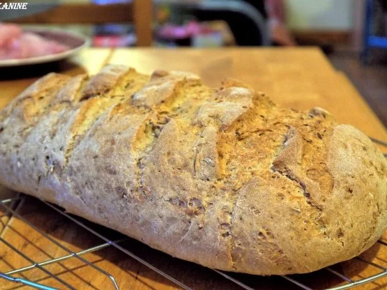 Mischbrot mit Fenchel und Koriander - Rezept - Bild Nr. 10