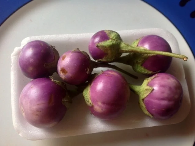 Steak mit grünem Curry und  Kokosnussmilch - Rezept - Bild Nr. 2