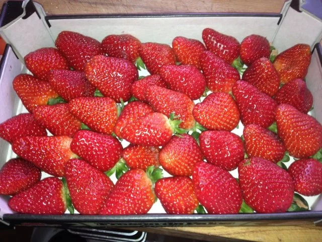 Erdbeer-Joghurt-Cremetorte mit Mandelknusperboden - Rezept - Bild Nr. 3