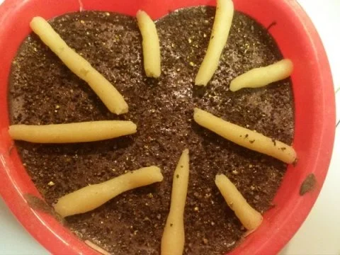 Orangen-Pralinen - Rezept - Bild Nr. 15