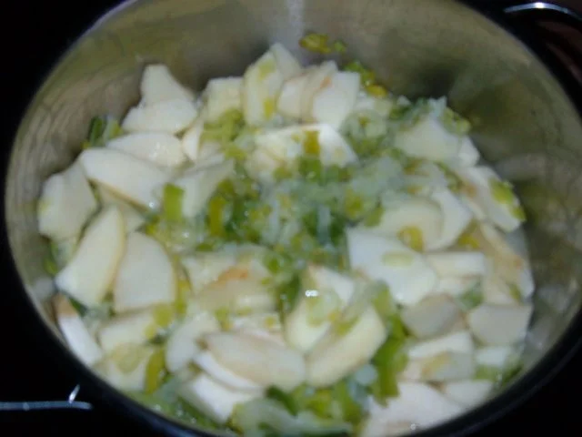 Rezept: Fisch . Lachs mit Porree - Apfel - Gemüse Bild Nr. 5 Fisch . Lachs mit Porree - Apfel - Gemüse - Rezept - Bild Nr. 5