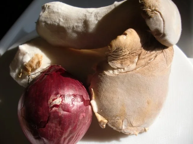 Rezept: Kräuterseitlinge mit Spinat Bild Nr. 3 Kräuterseitlinge mit Spinat - Rezept - Bild Nr. 3