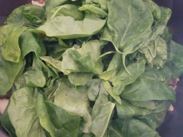 Rezept: Kräuterseitlinge mit Spinat Bild Nr. 7 Kräuterseitlinge mit Spinat - Rezept - Bild Nr. 7