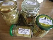 Vorräte : Gemüse - Salz - Rezept