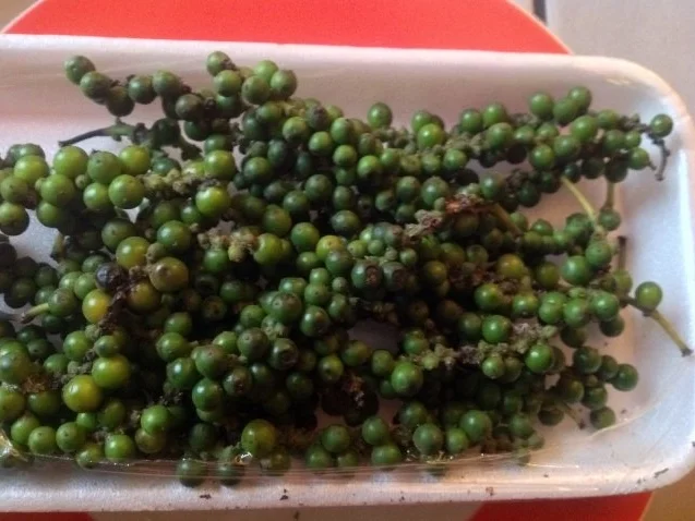 Rezept: Schafskäse - Dipp mit grünem Pfeffer und Paprika Bild Nr. 3 Schafskäse - Dipp mit grünem Pfeffer und Paprika - Rezept - Bild Nr. 3