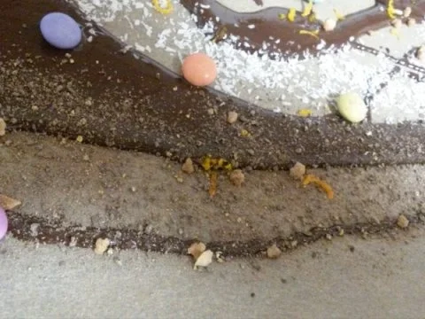 Rezept: Bruchschokolade Bild Nr. 5 Bruchschokolade - Rezept - Bild Nr. 5