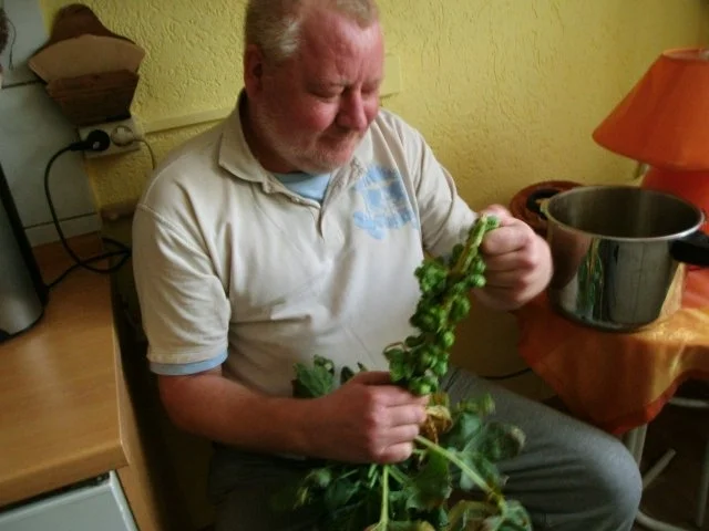 BRAUEREI-BRATEN - Rezept - Bild Nr. 9