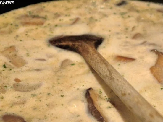 Kräuterseitlings-Ragout mit Gnocchi - Rezept - Bild Nr. 13