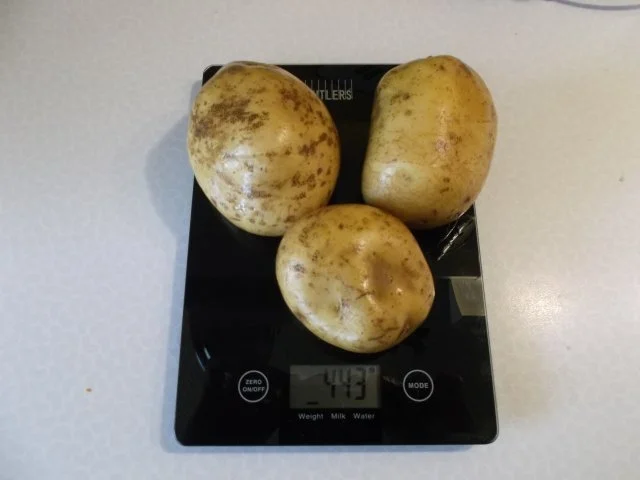 Geflügel: Grillhähnchen mit Gorgonzolasoße - Rezept - Bild Nr. 5