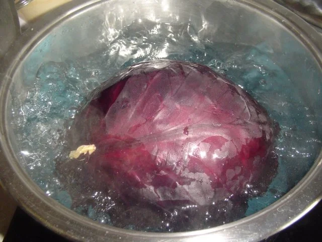 Rothohlrouladen - Rezept - Bild Nr. 3