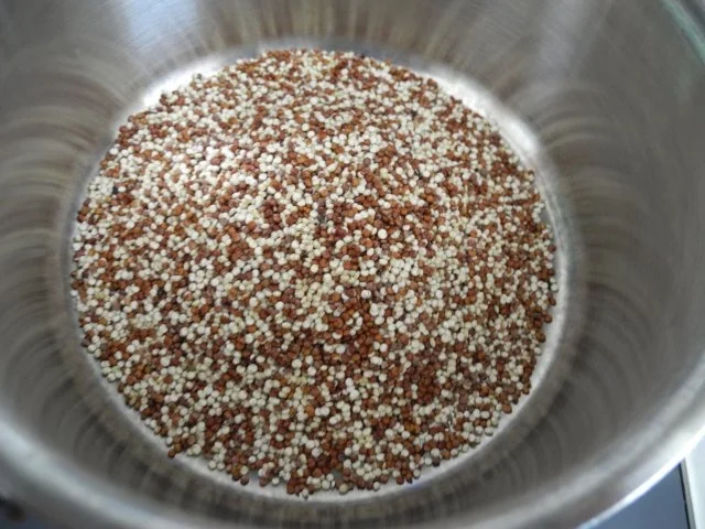 Vegan : Buntes Quinoa mit Zucchini - Spinat und Kokoschampignons - Rezept - Bild Nr. 4