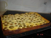 Mrabellenkuchen mit Quarkguss - Rezept