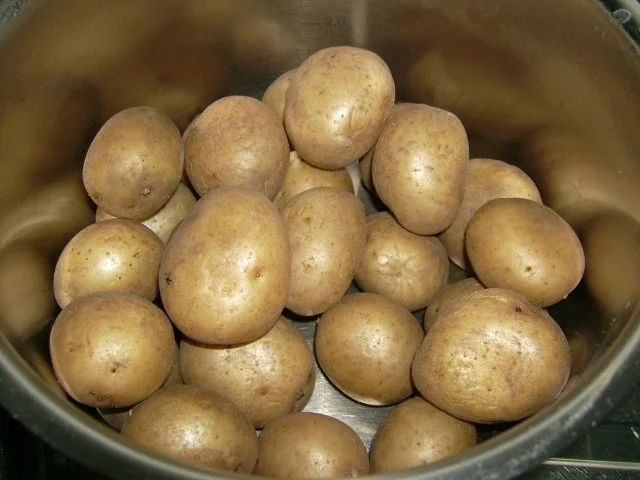 Kartoffelsalat - Rezept - Bild Nr. 2