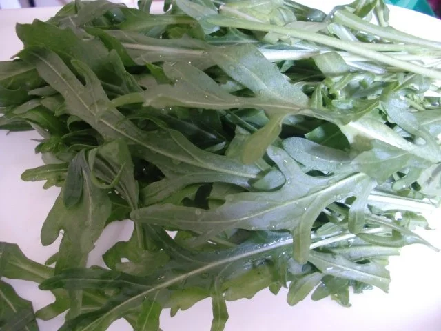 Rezept: Rucola - Dip mit Frischkäse Bild Nr. 2 Rucola - Dip mit Frischkäse - Rezept - Bild Nr. 2