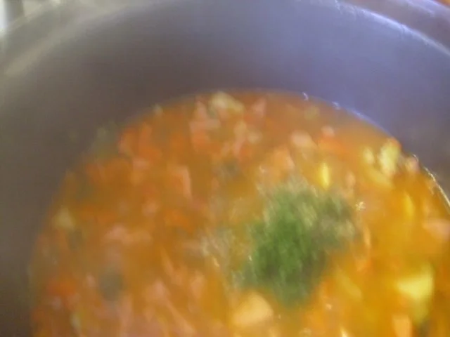 Fleischwurst-Möhren Topf - Rezept - Bild Nr. 7