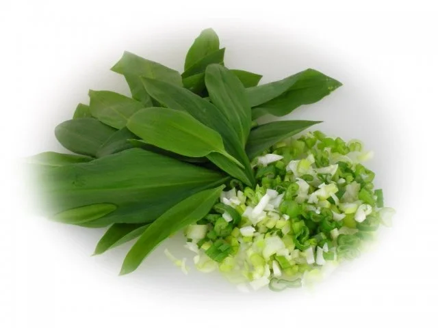 Herzhafte Quarkknödel mit Bärlauchsauce - Rezept - Bild Nr. 10