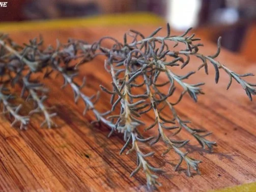 Thai-Curry mit Huhn und Ananas - Rezept - Bild Nr. 3