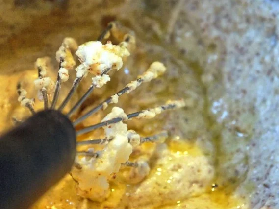 Feine Madeleines - Rezept - Bild Nr. 5