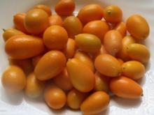 Einmachen: Orangengelee mit Kumquat - Rezept