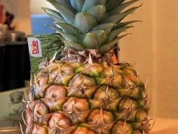 Rezept: Kokospudding mit Ananas-Minz-Ragout Bild Nr. 7 Kokospudding mit Ananas-Minz-Ragout - Rezept - Bild Nr. 7