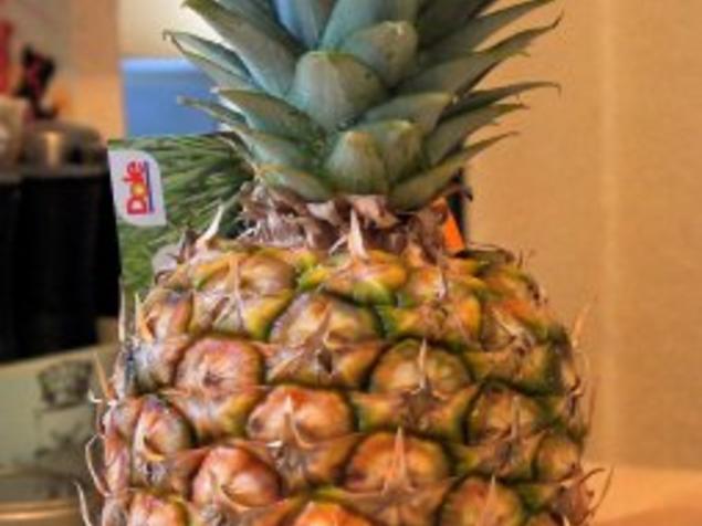 Kokospudding mit Ananas Minz Ragout - einfach - 74 kcal/100g