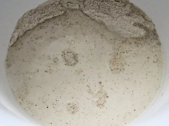 Rezept: Backen: Hanf-Milchbrötchen Bild Nr. 2 Backen: Hanf-Milchbrötchen - Rezept - Bild Nr. 2