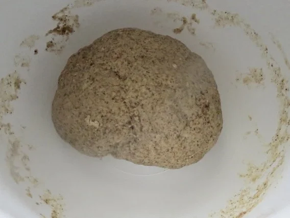 Rezept: Backen: Hanf-Milchbrötchen Bild Nr. 3 Backen: Hanf-Milchbrötchen - Rezept - Bild Nr. 3