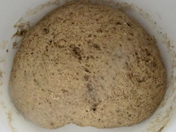 Rezept: Backen: Hanf-Milchbrötchen Bild Nr. 4 Backen: Hanf-Milchbrötchen - Rezept - Bild Nr. 4