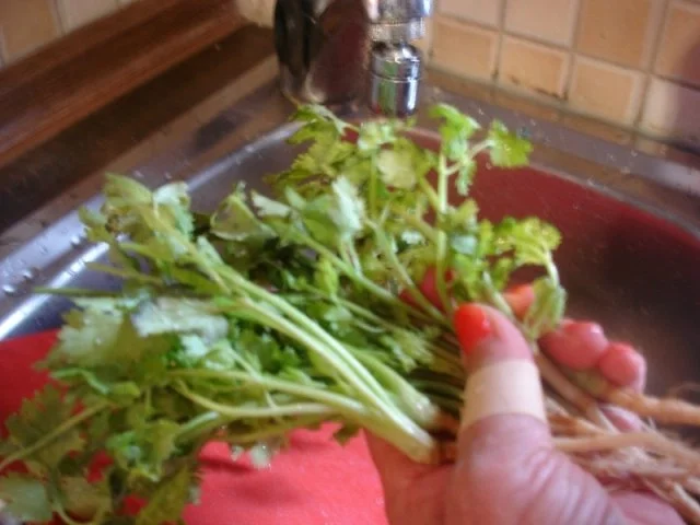 Chicken Curry - Rezept - Bild Nr. 14