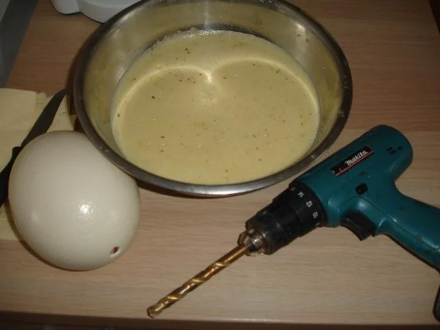 Variationen mit Straussenei - Rezept