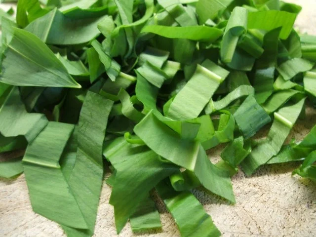 Pasta: Helle Lasagne - Rezept - Bild Nr. 6