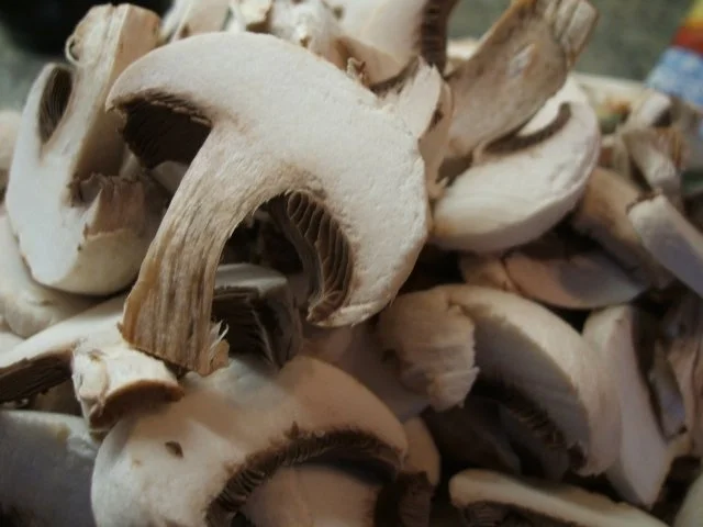 Pasta: Helle Lasagne - Rezept - Bild Nr. 7