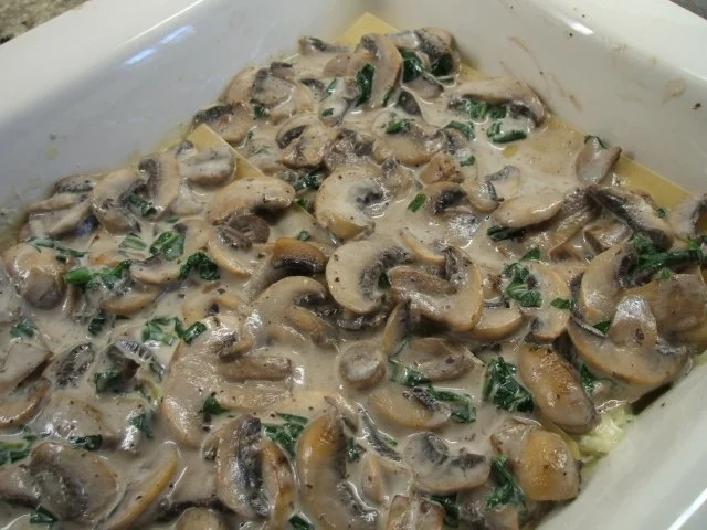 Pasta: Helle Lasagne - Rezept - Bild Nr. 9