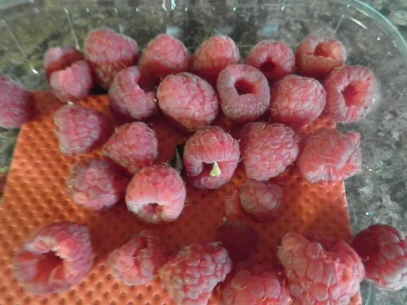 Rote Bete - Suppe ... - Rezept - Bild Nr. 5