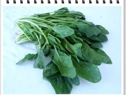 Rezept: Hausgemachte Maultaschen auf Spinatbett Bild Nr. 3 Hausgemachte Maultaschen auf Spinatbett - Rezept - Bild Nr. 3