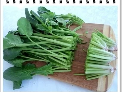 Rezept: Hausgemachte Maultaschen auf Spinatbett Bild Nr. 4 Hausgemachte Maultaschen auf Spinatbett - Rezept - Bild Nr. 4