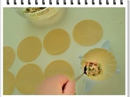 Rezept: Hausgemachte Maultaschen auf Spinatbett Bild Nr. 14 Hausgemachte Maultaschen auf Spinatbett - Rezept - Bild Nr. 14