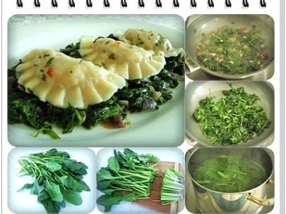 Rezept: Hausgemachte Maultaschen auf Spinatbett Bild Nr. 21 Hausgemachte Maultaschen auf Spinatbett - Rezept - Bild Nr. 21