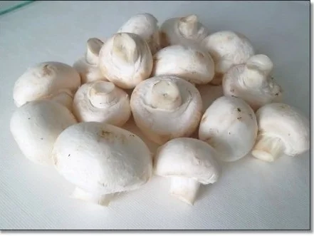 Jägerschnitzel mit Kartoffelklößchen - Rezept - Bild Nr. 9