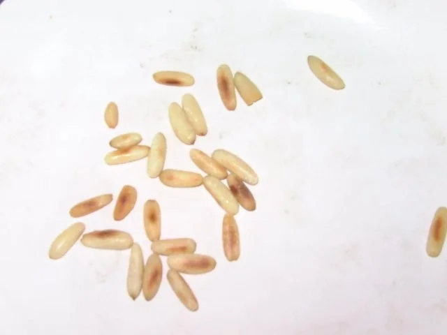 Rezept: Avocado-Hirtenkäse-Creme Bild Nr. 4 Avocado-Hirtenkäse-Creme - Rezept - Bild Nr. 4