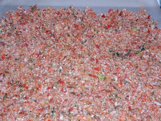 Brühe/Gewürzmischung: Grob gekörnte pikante Gemüsebrühe - Rezept - Bild Nr. 7