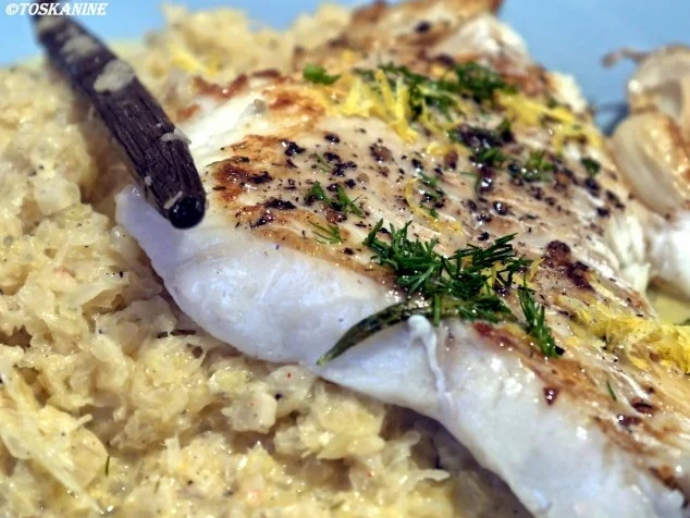 Kabeljaufilet auf Vanille-Spitzkohl - Rezept