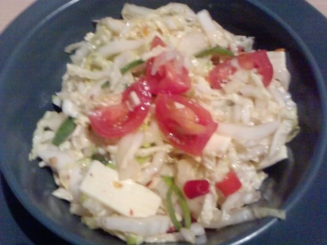 Rezept: RESCHARLAT ---- SCHARFER RESTESALAT Bild Nr. 6 RESCHARLAT ---- SCHARFER RESTESALAT - Rezept - Bild Nr. 6