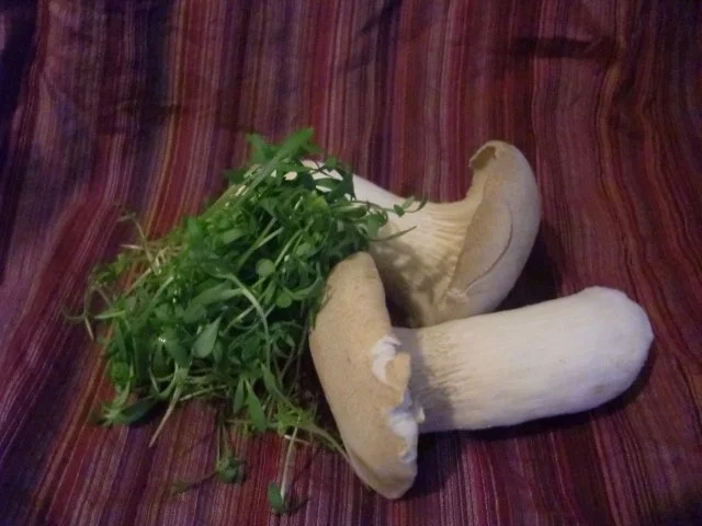 Kräuterseitlinge mit Kresse - Dip - Rezept - Bild Nr. 2