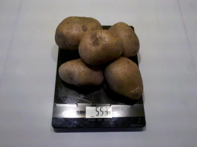 Geflügel: Pikantes Hähnchenbrustfilet mit Kartoffelspalten - Rezept - Bild Nr. 4