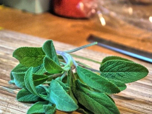 Hähnchen mit Tomate und Salbei zu selbstgemachter Tagliatelle - Rezept - Bild Nr. 7