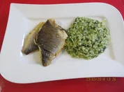 Doradenfilet mit Bärlauchrisotto - Rezept
