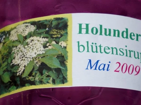 Holunderblütensirup 2009 - Rezept