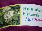 Holunderblütensirup 2009 - Rezept